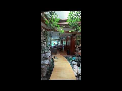 Previsualización del video
