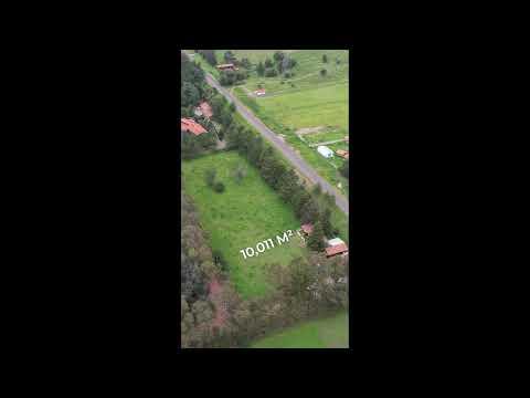 Previsualización de video