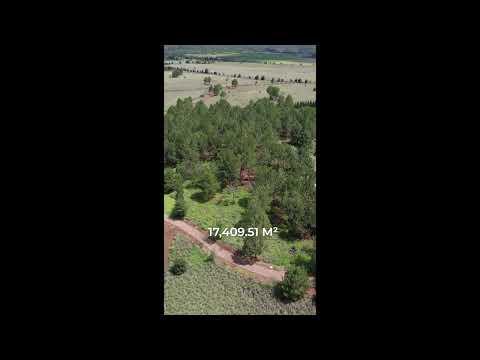 Previsualización de video