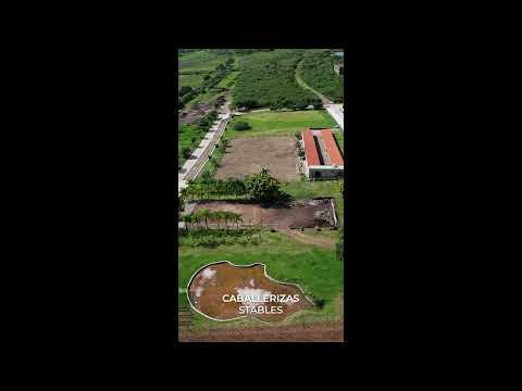 Previsualización de video