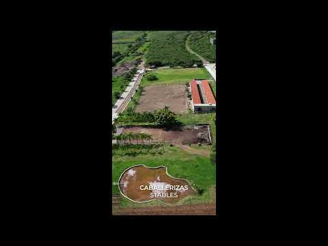 Previsualización de video