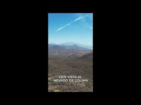 Previsualización del video