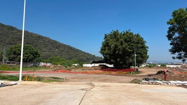 Foto de la galeria de imagenes