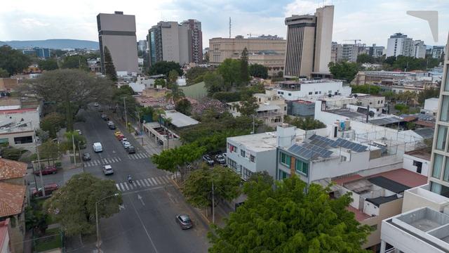 Foto de la galeria de imagenes