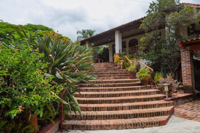 Foto de la galeria de imagenes