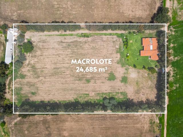 Foto de la galeria de imagenes