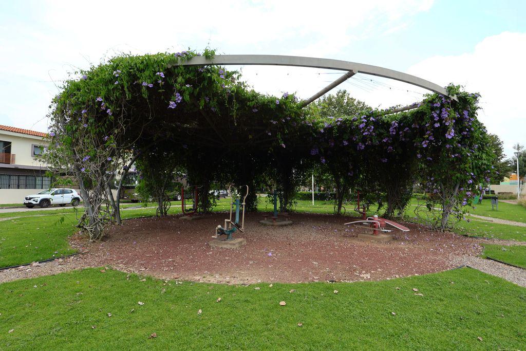 Foto de la galeria de imagenes