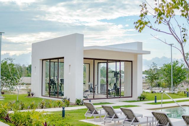 Foto de la galeria de imagenes