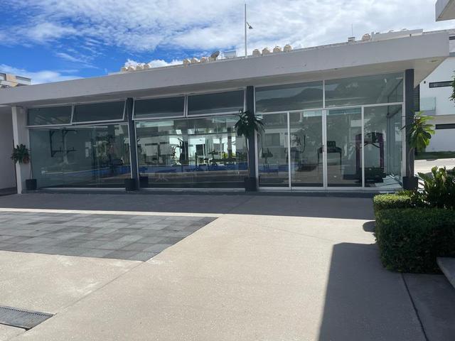 Foto de la galeria de imagenes