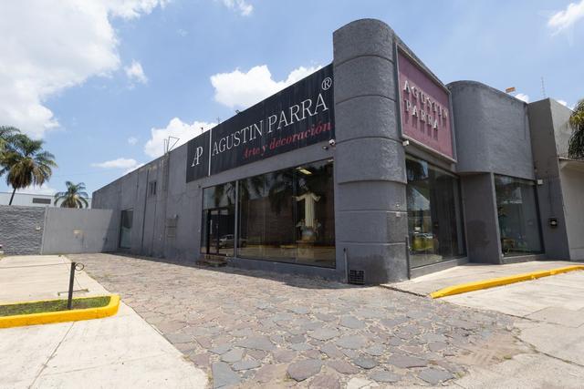 Foto de la galeria de imagenes