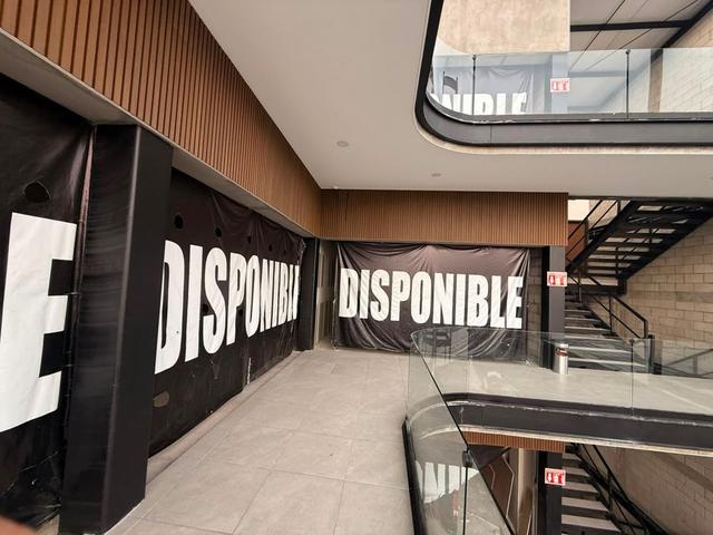 Foto de la galeria de imagenes