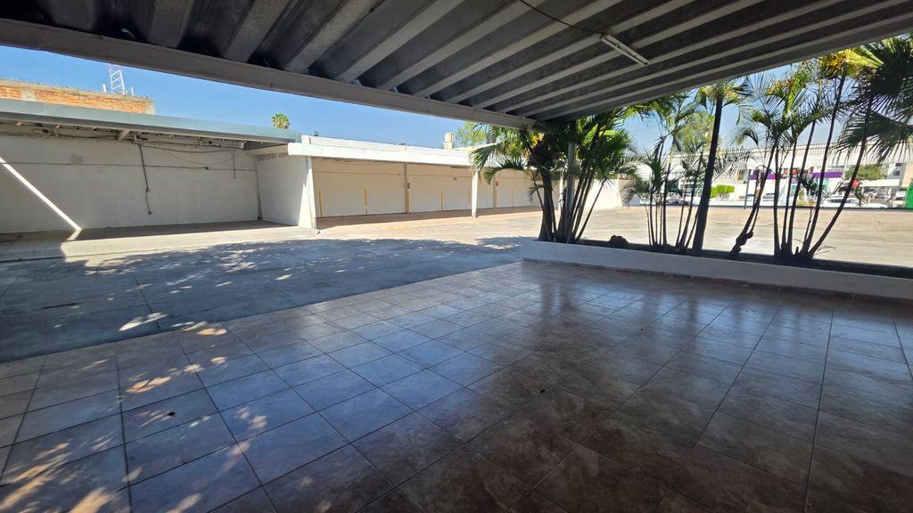 Foto de la galeria de imagenes