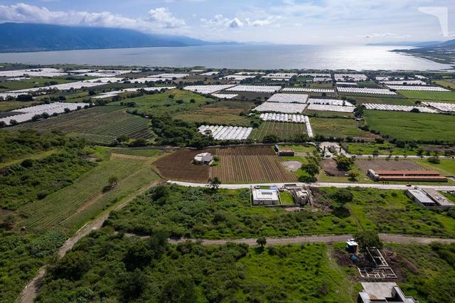 Foto de la galeria de imagenes