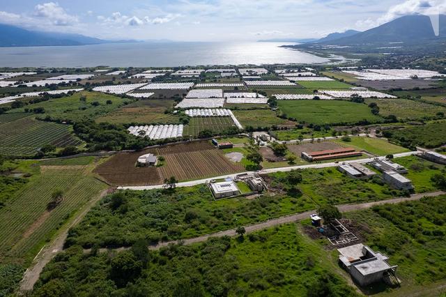 Foto de la galeria de imagenes