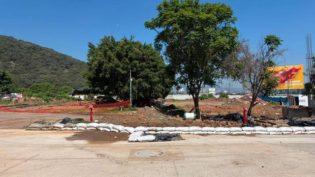 Foto de la galeria de imagenes