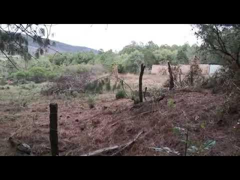 Previsualización del video