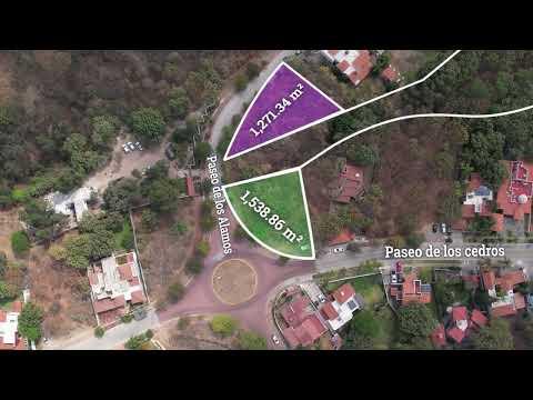 Previsualización del video