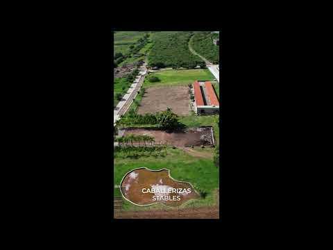 Previsualización del video