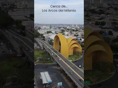 Previsualización del video