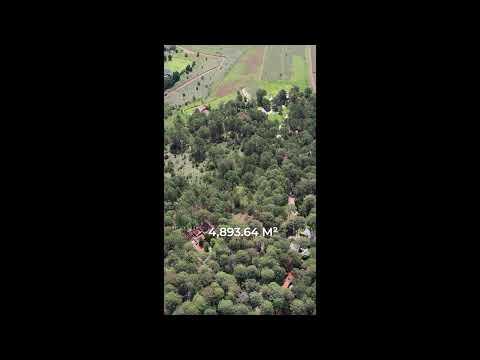 Previsualización del video