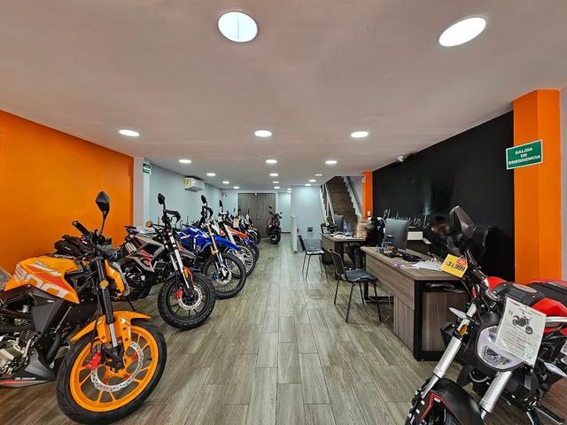 Foto de la galeria de imagenes