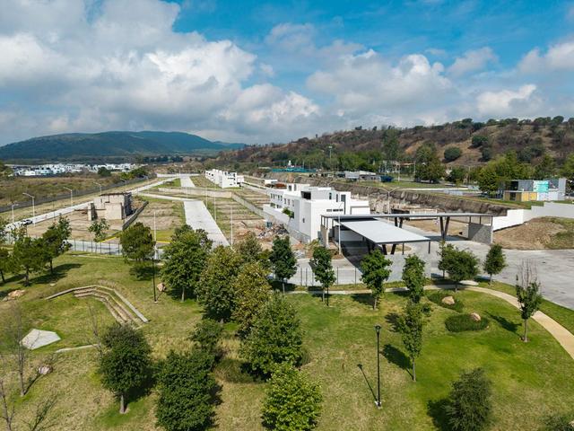 Foto de la galeria de imagenes