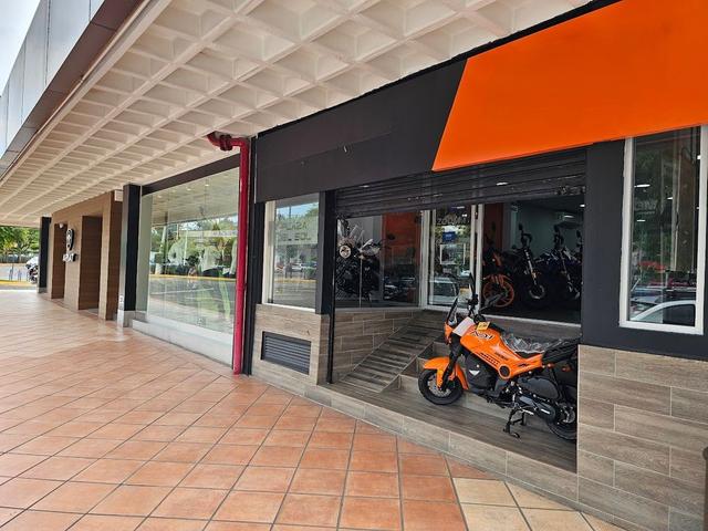 Foto de la galeria de imagenes